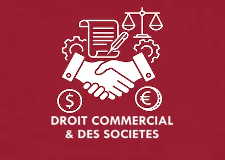 Illustration droit commercial et des sociétés — accompagnement des dirigeants et résolution des litiges entre entreprises à Toulouse